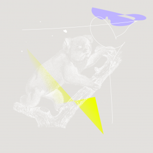 dd7Artboard 4 copy 2 dd7Artboard 4 copy 2